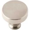 Delta SDKB005-BN-B1 Lyndall Knob For Pivot Shower Door In Nickel -Hardware Furniture 205065303 usn